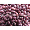 Red Cowpeas